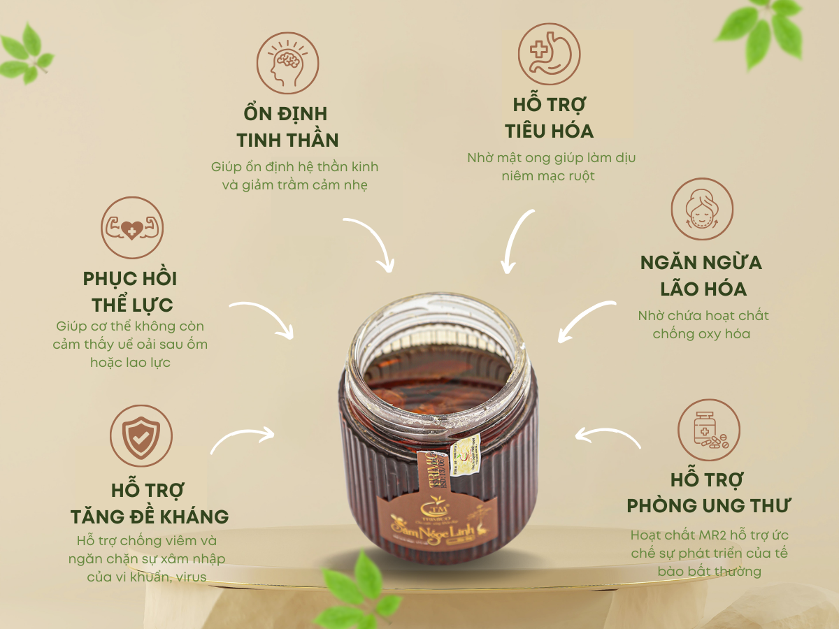 Công dụng của sâm Ngọc linh ngâm mật ong